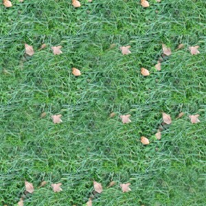 grass tiled texture